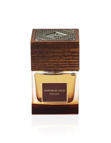 Mens perfume 100ml - mens, branded